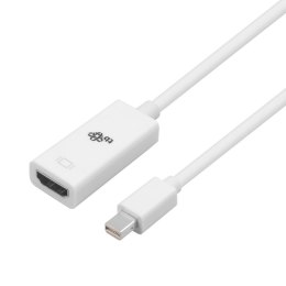 Adapter TB AKTBXVAMDPMHMAW DisplayPort - HDMI