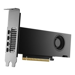 Karta graficzna PNY NVIDIA 2000 Ada 16 GB GDDR6 VCNRTX2000ADA-PB