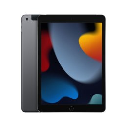 IPad 10.2 cala LTE 256 GB Space Gray (Gwiezdna Szarość)