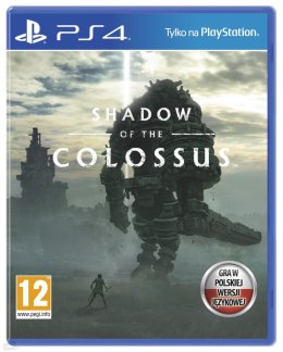 Gra Shadow of the Colossus PL (PS4)